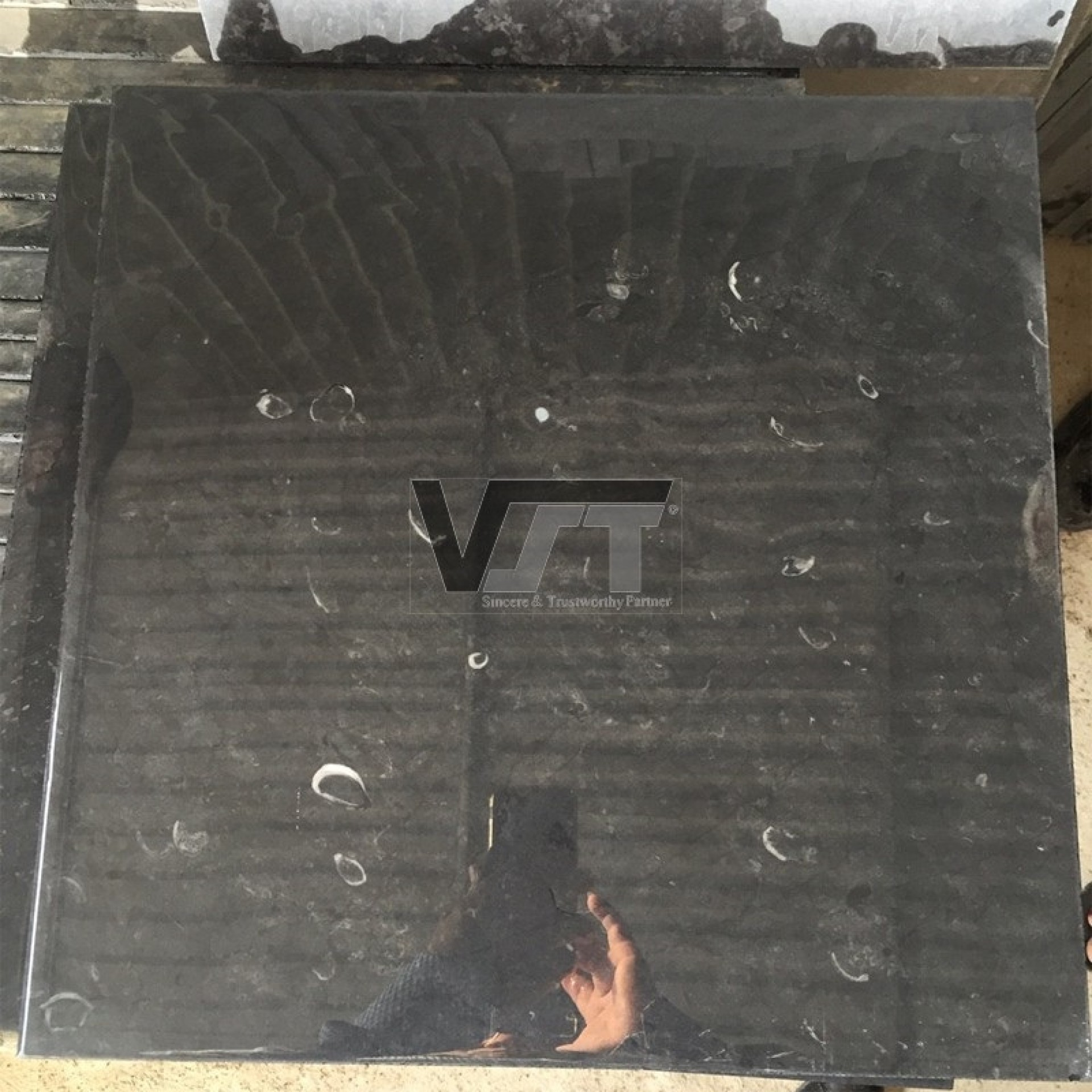Blue limestone honed